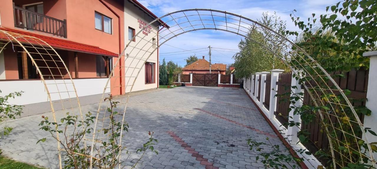 Pensiunea Dara Rîşnov Exterior foto