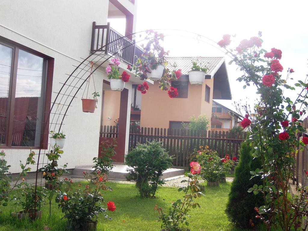 Pensiunea Dara Rîşnov Exterior foto