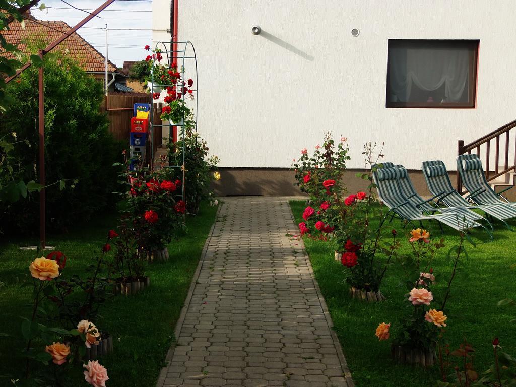 Pensiunea Dara Rîşnov Exterior foto