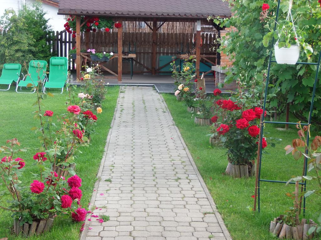 Pensiunea Dara Rîşnov Exterior foto